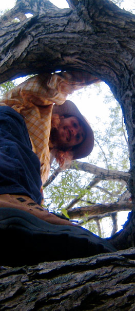 Brendan Ferguson in a Tree